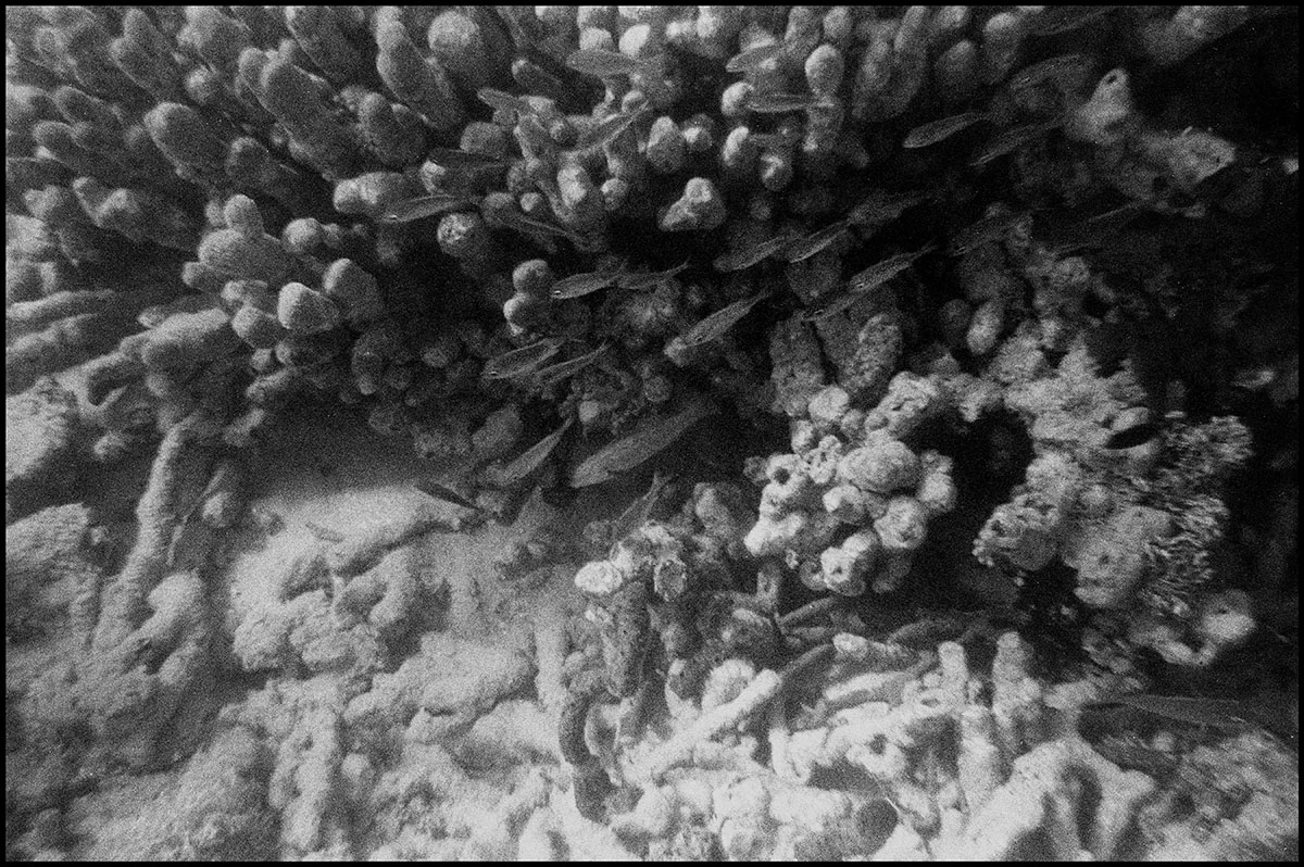 Underwater 6