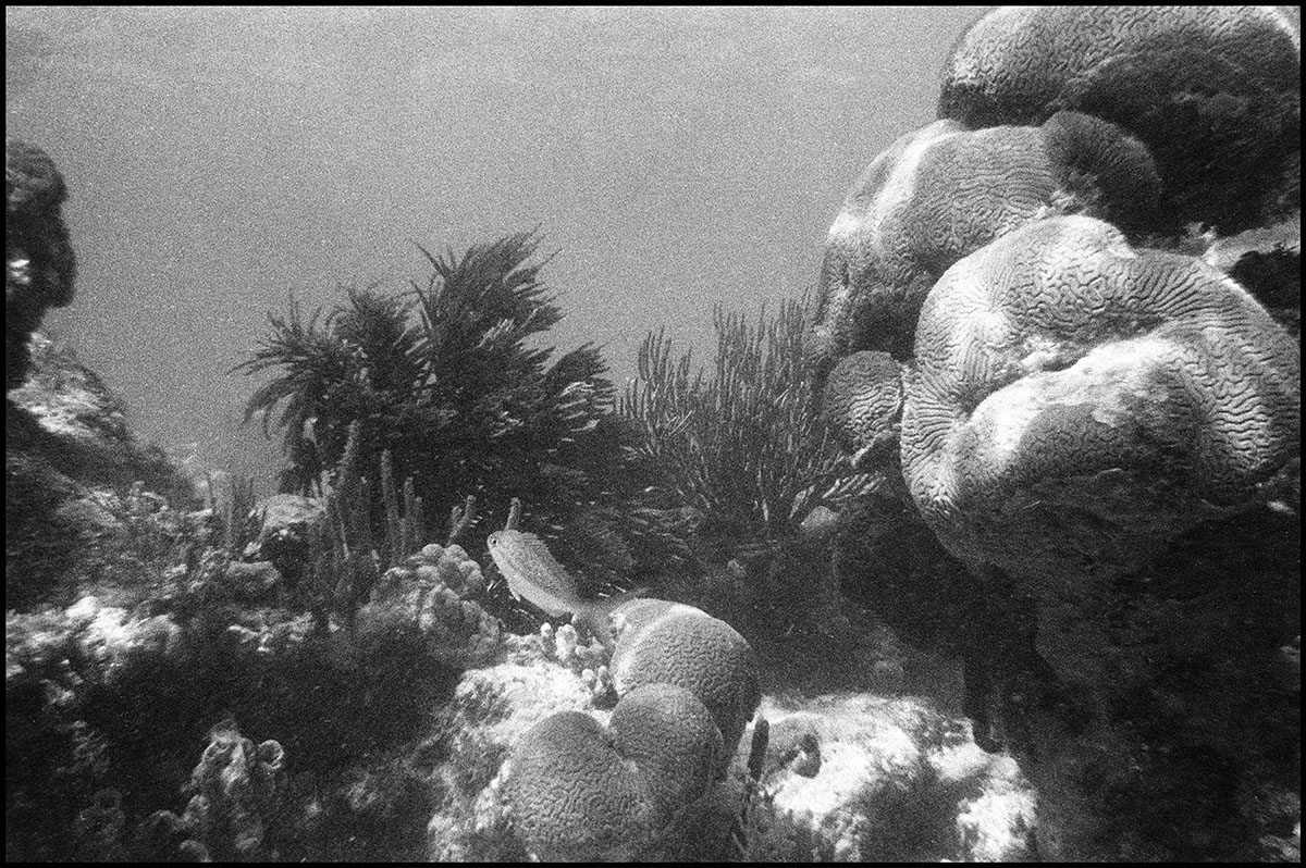 Underwater 7