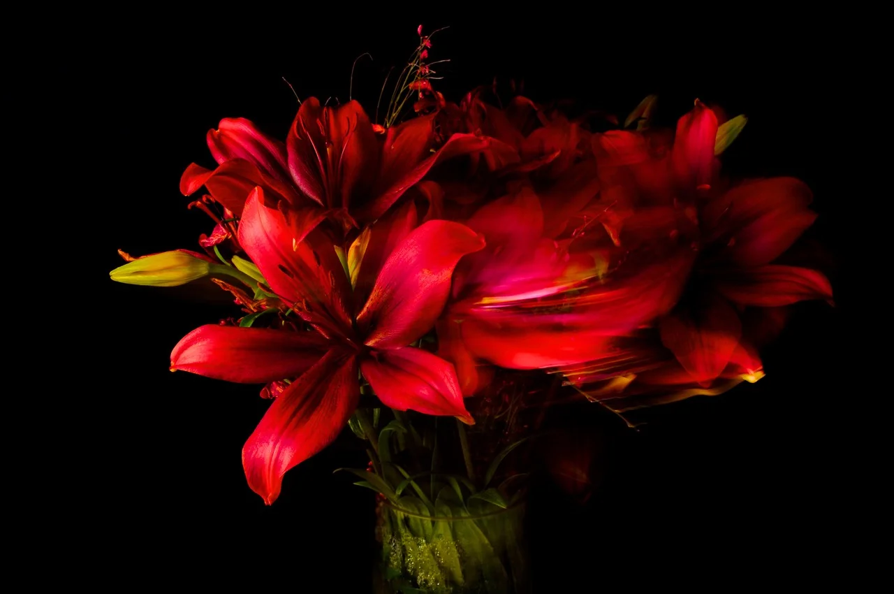 Garden Flowers - Red Lilies