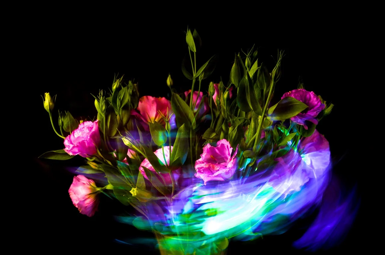 Garden Flowers - Bouquet Ablaze 