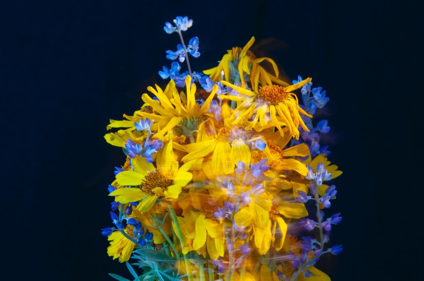 Today's Bouquet Ablaze, Gerlach, NV, USA, Earth-Home.