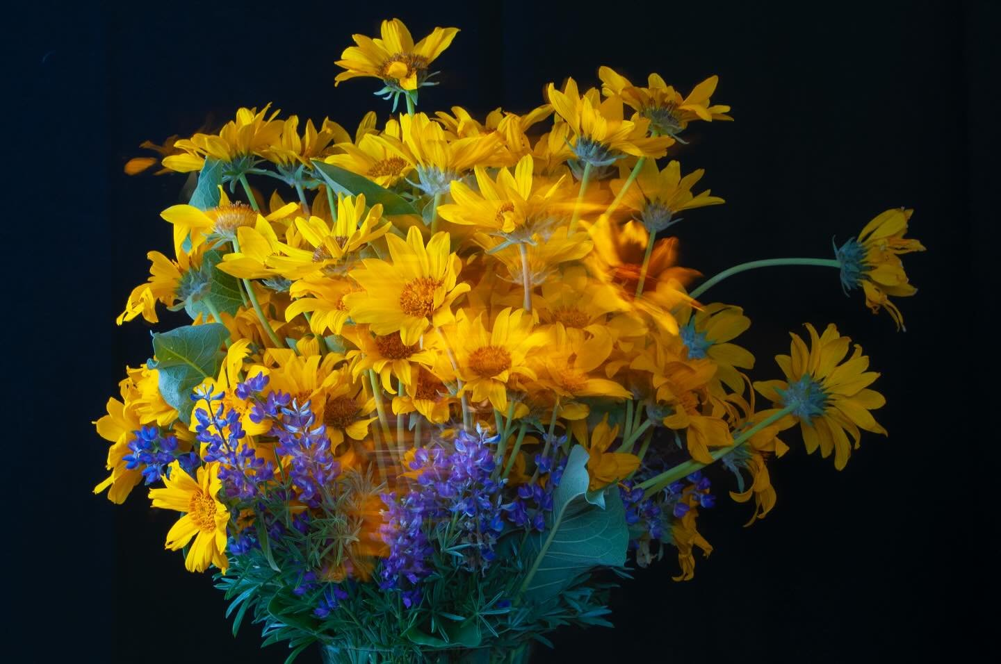 My Birthday Bouquet from @crimson9rose, Local Wildflowers, Gerlach, NV, USA, Earth-Home.