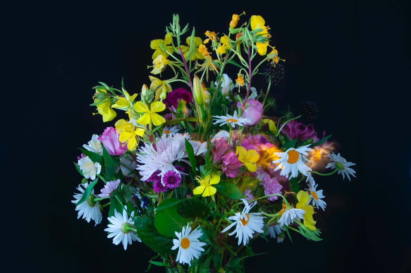 Today's Bouquet Ablaze, Gerlach, NV, USA, Earth-Home.