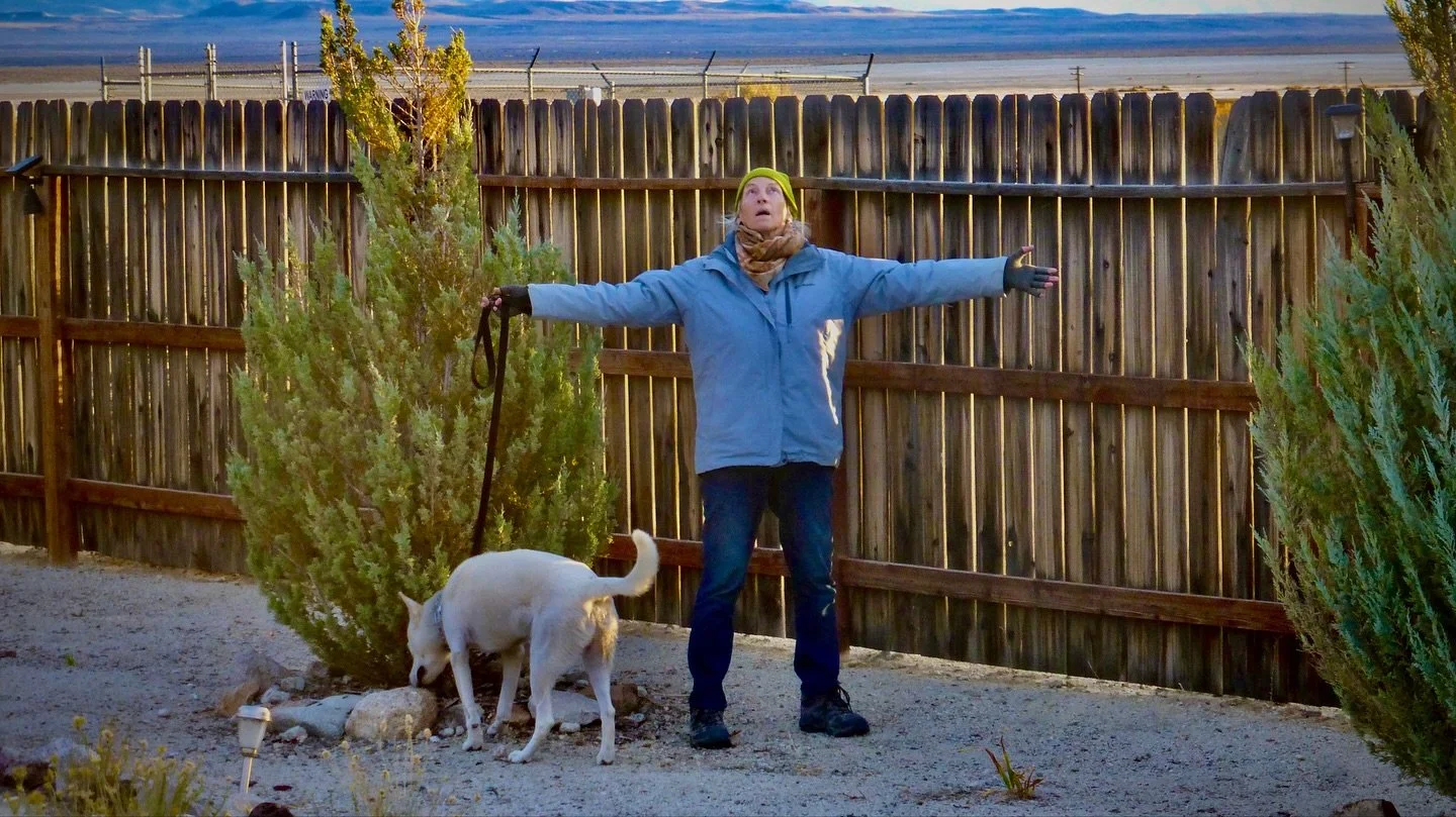 Tonight's Sunset Walk, Gerlach, NV, USA, Earth-Home.