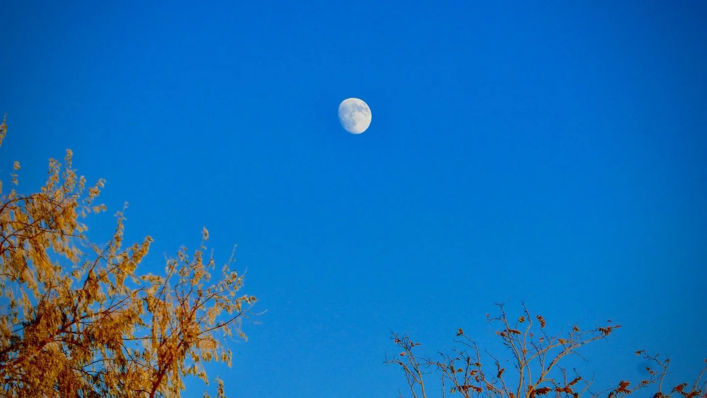 Tonight's Sunset Walk, Gerlach, NV, USA, Earth-Home.