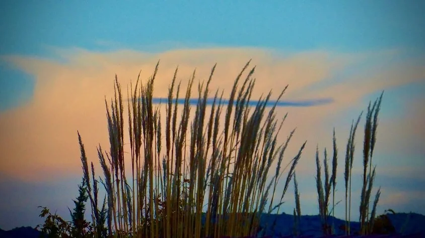 Tonight's Sunset Walk, Gerlach, NV, USA, Earth-Home.