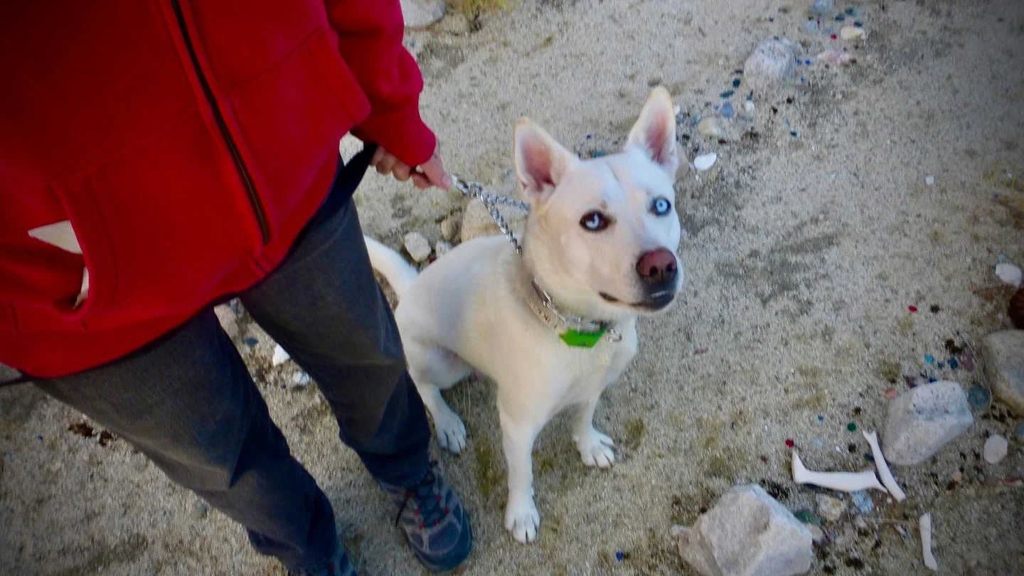 Tonight's Sunset Labyrinth Walk, Gerlach, NV, USA, Earth-Home.