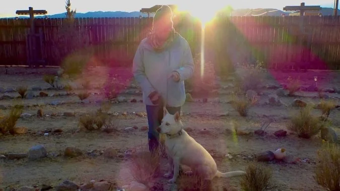 Tonight's Sunset Labyrinth Walk, Gerlach, NV, USA, Earth-Home.