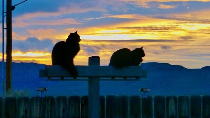 Tonight's Sunset Labyrinth Walk, Gerlach, NV, USA, Earth-Home.