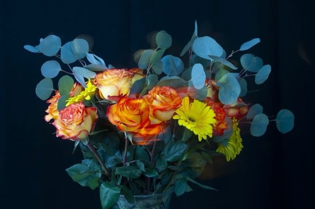 Today's Bouquet Ablaze, Gerlach, NV, USA, Earth-Home.