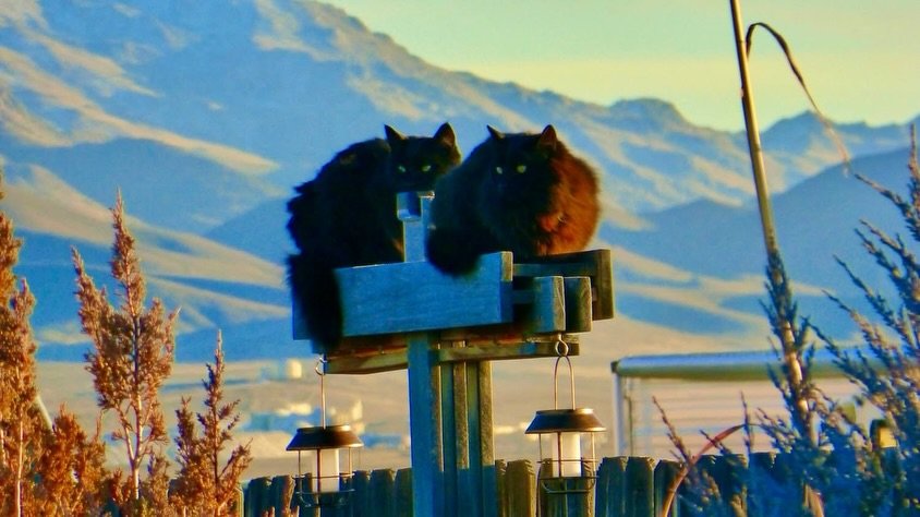 Last night's Sunset Labyrinth Walk, Gerlach, NV, USA, Earth-Home.