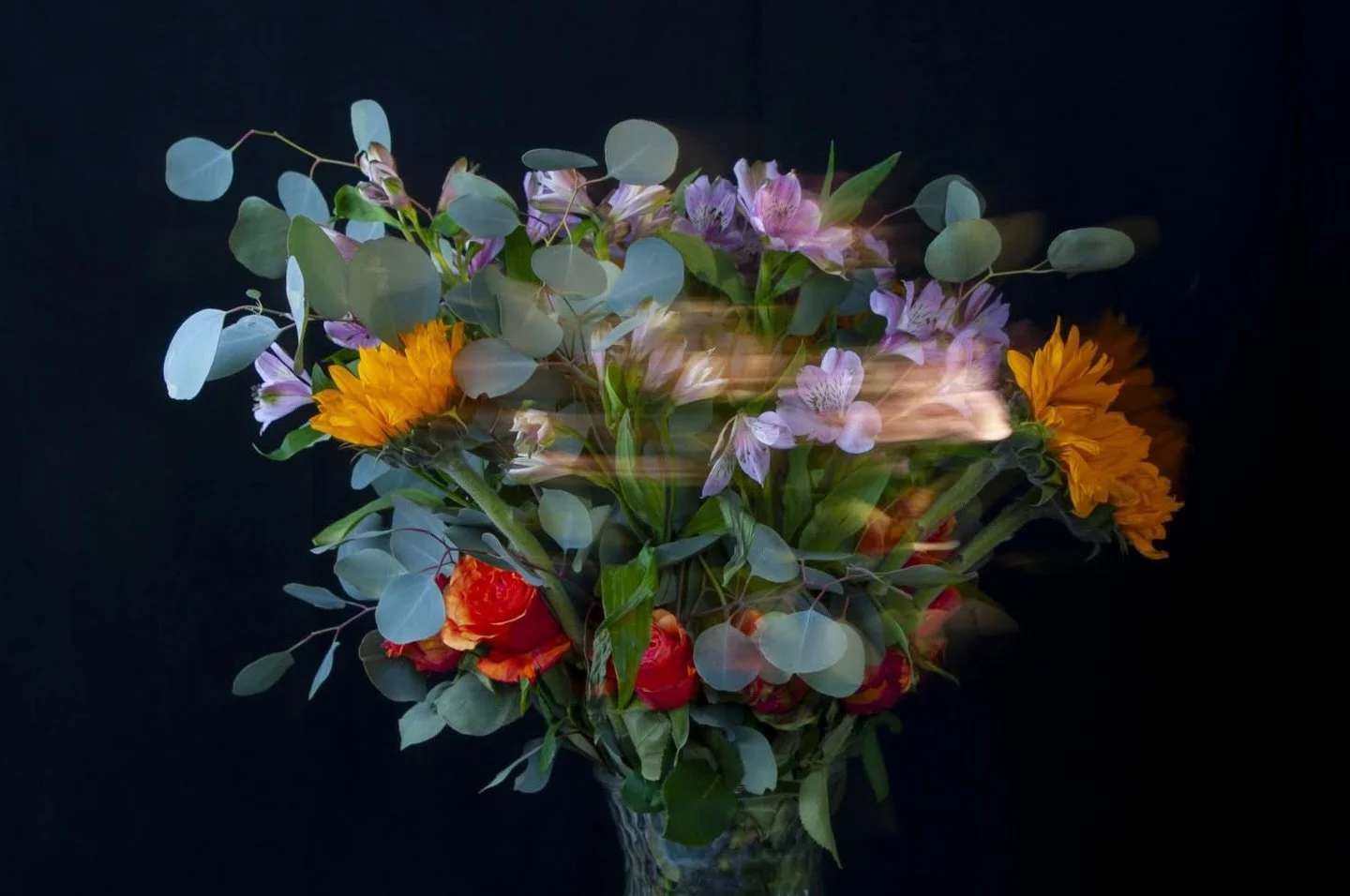 Bouquet Ablaze, Gerlach, NV, USA, Earth-Home.