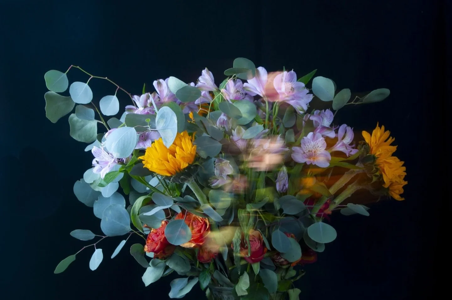 Bouquet Ablaze, Gerlach, NV, USA, Earth-Home.