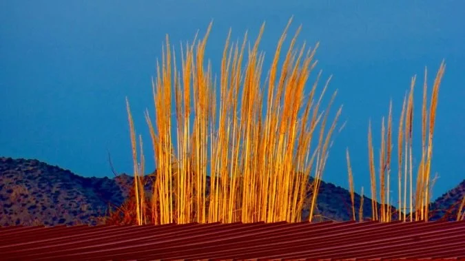 Tonight's Sunset Labyrinth Walk, Gerlach, NV, USA, Earth-Home.