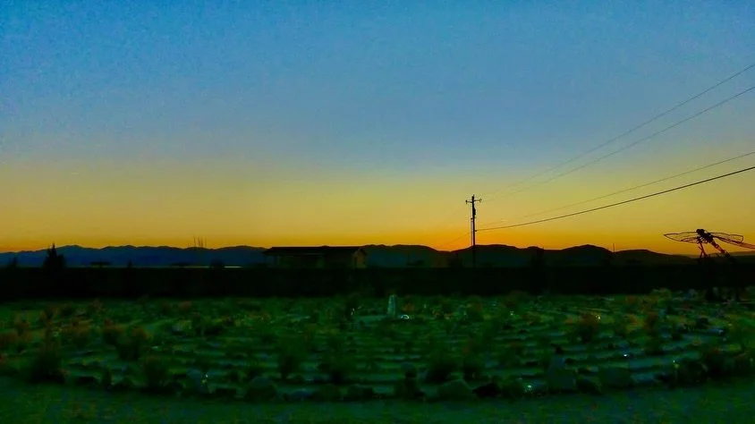 Tonight's Sunset Labyrinth Walk, Gerlach, NV, USA, Earth-Home.