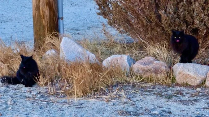 Tonight's Sunset Labyrinth Walk, Gerlach, NV, USA, Earth-Home.
