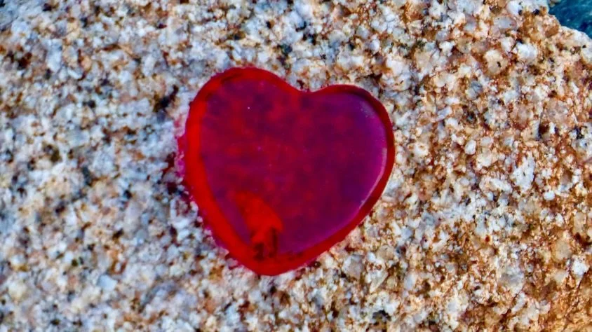 Last night's Sunset Labyrinth Walk, Gerlach, NV, USA, Earth-Home.