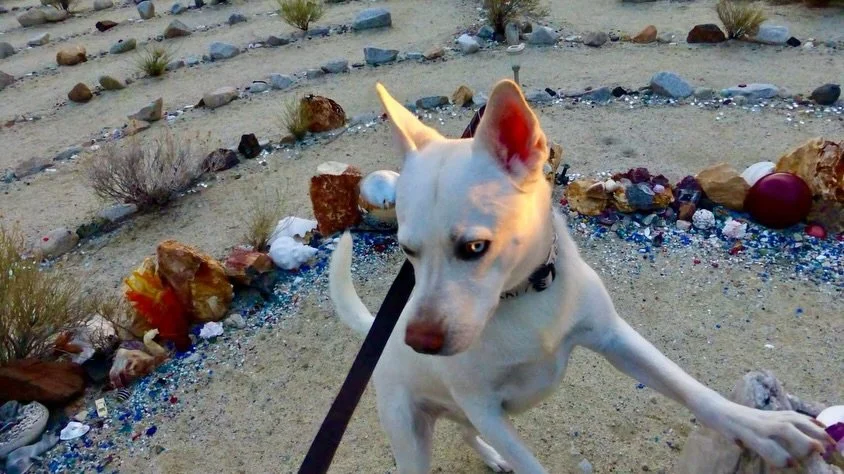 Tonight's Sunset Labyrinth Walk, Gerlach, NV, USA, Earth-Home.
