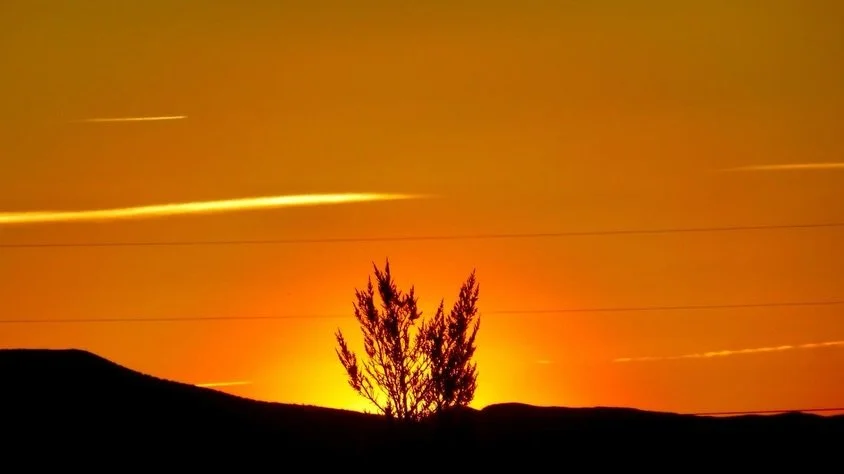 Tonight's Sunset Labyrinth Walk, Gerlach, NV, USA, Earth-Home.