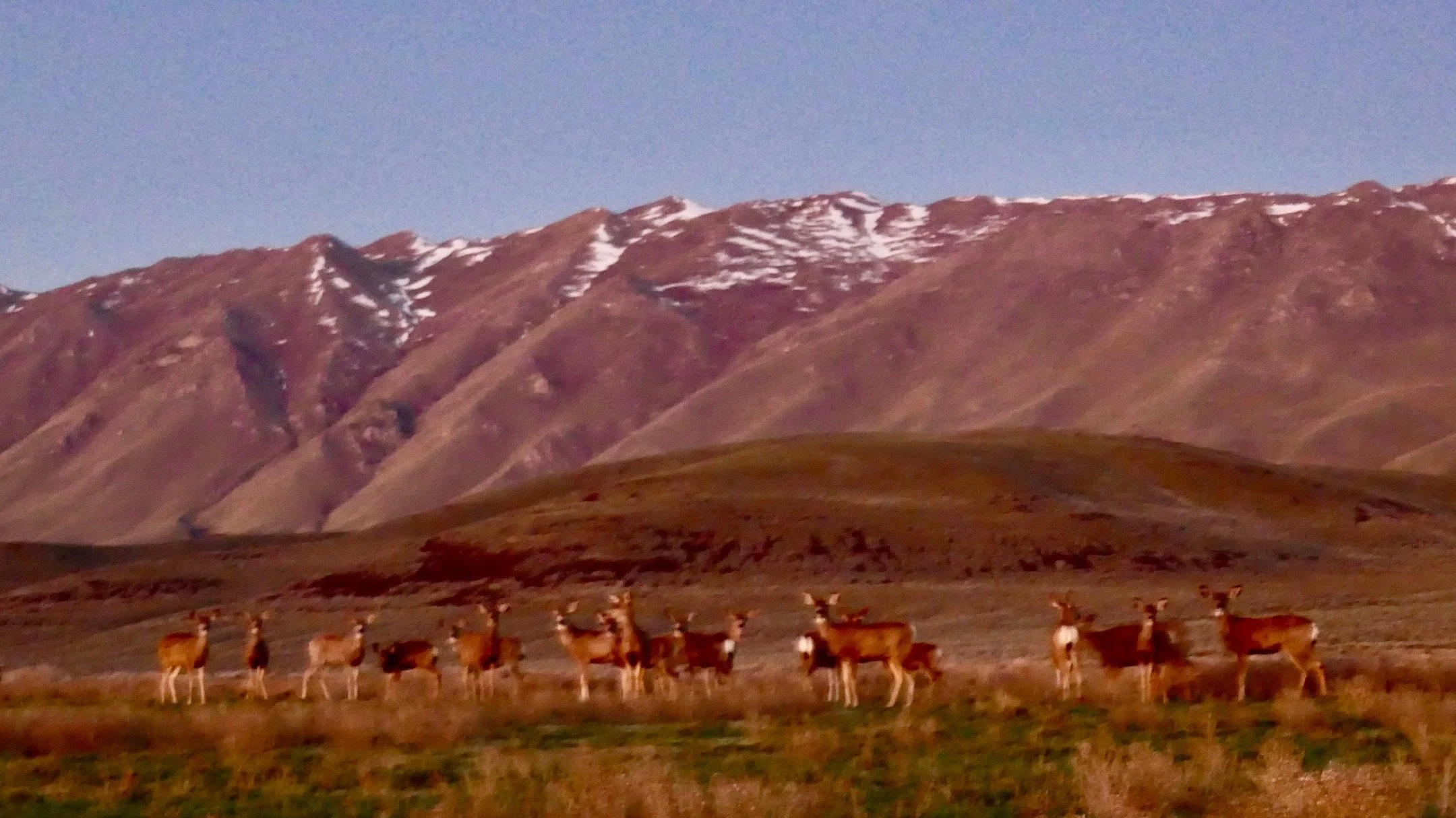 Vernal Equinox Sunrise Fly Ranch Labyrinth Walk, Hualapai Valley, NV, USA, Earth-Home.