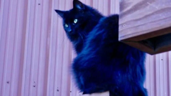 Tonight's Sunset Labyrinth Walk, Gerlach, NV, USA, Earth-Home.