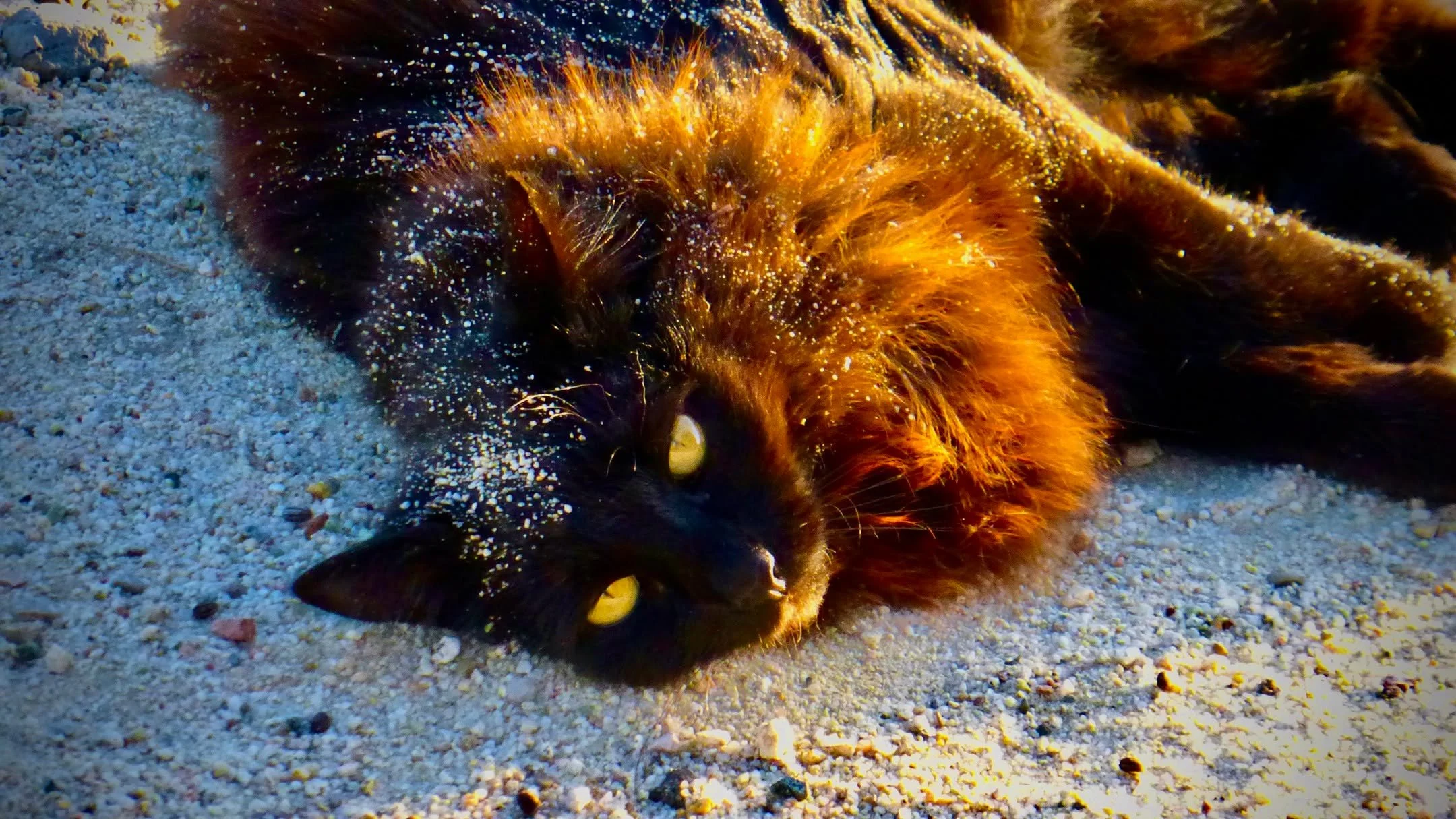 Tonight's Sunset Labyrinth Walk, Gerlach, NV, USA, Earth-Home.