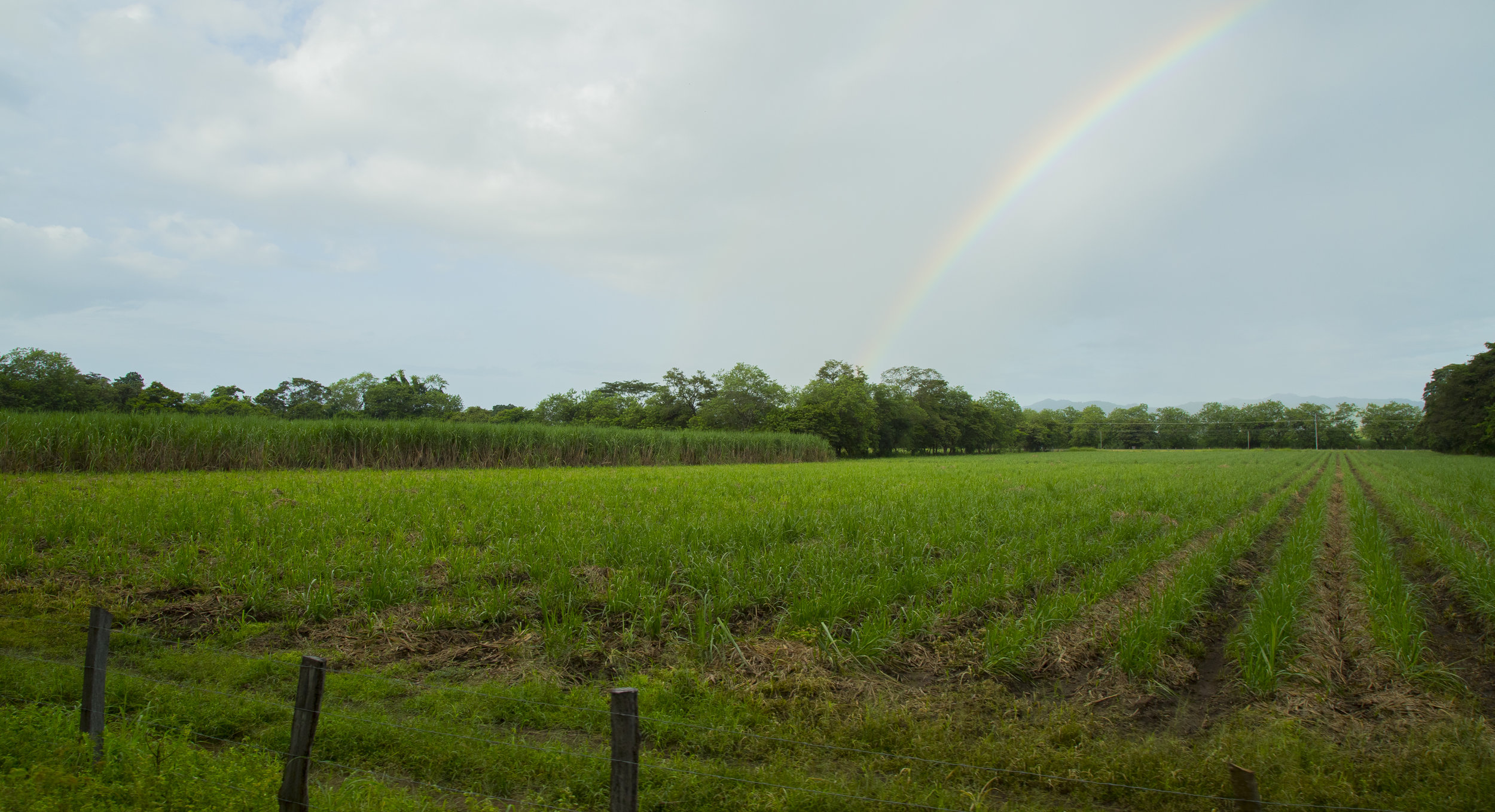 Costa Eica-Rainbow .jpg