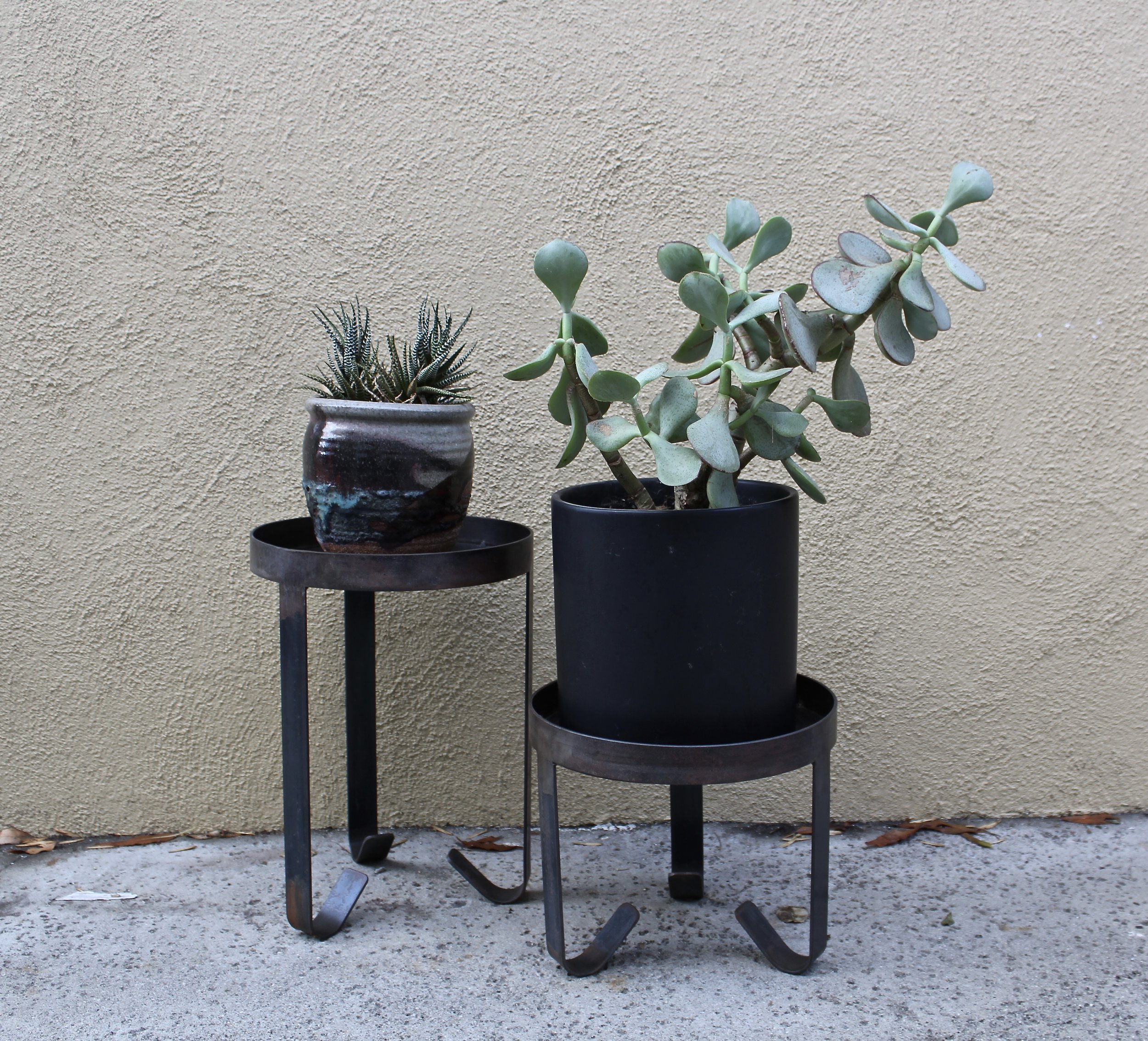 Plants Stands