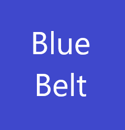 Blue Belt.PNG