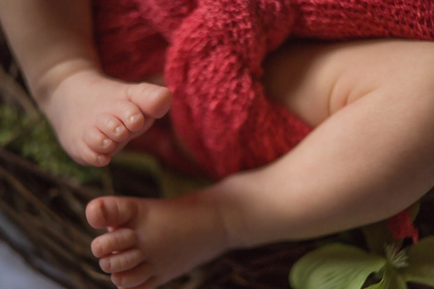 Baby Brynn-2.jpg