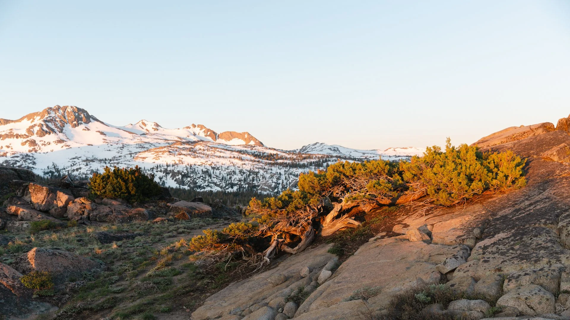 MIW Sierras Sample-6.jpg