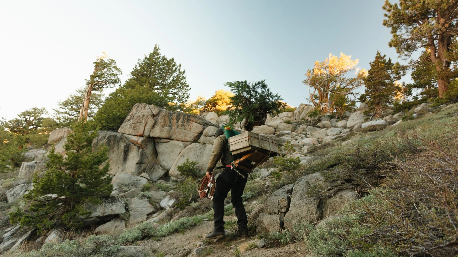 MIW Sierras Sample-7.jpg