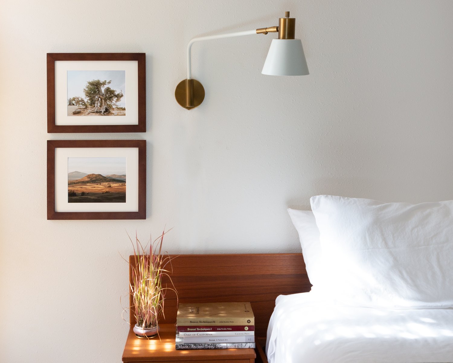 Bonsai Mirai Crater Lake Photo 4x5-1.jpg