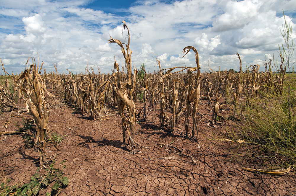 Drought.jpg