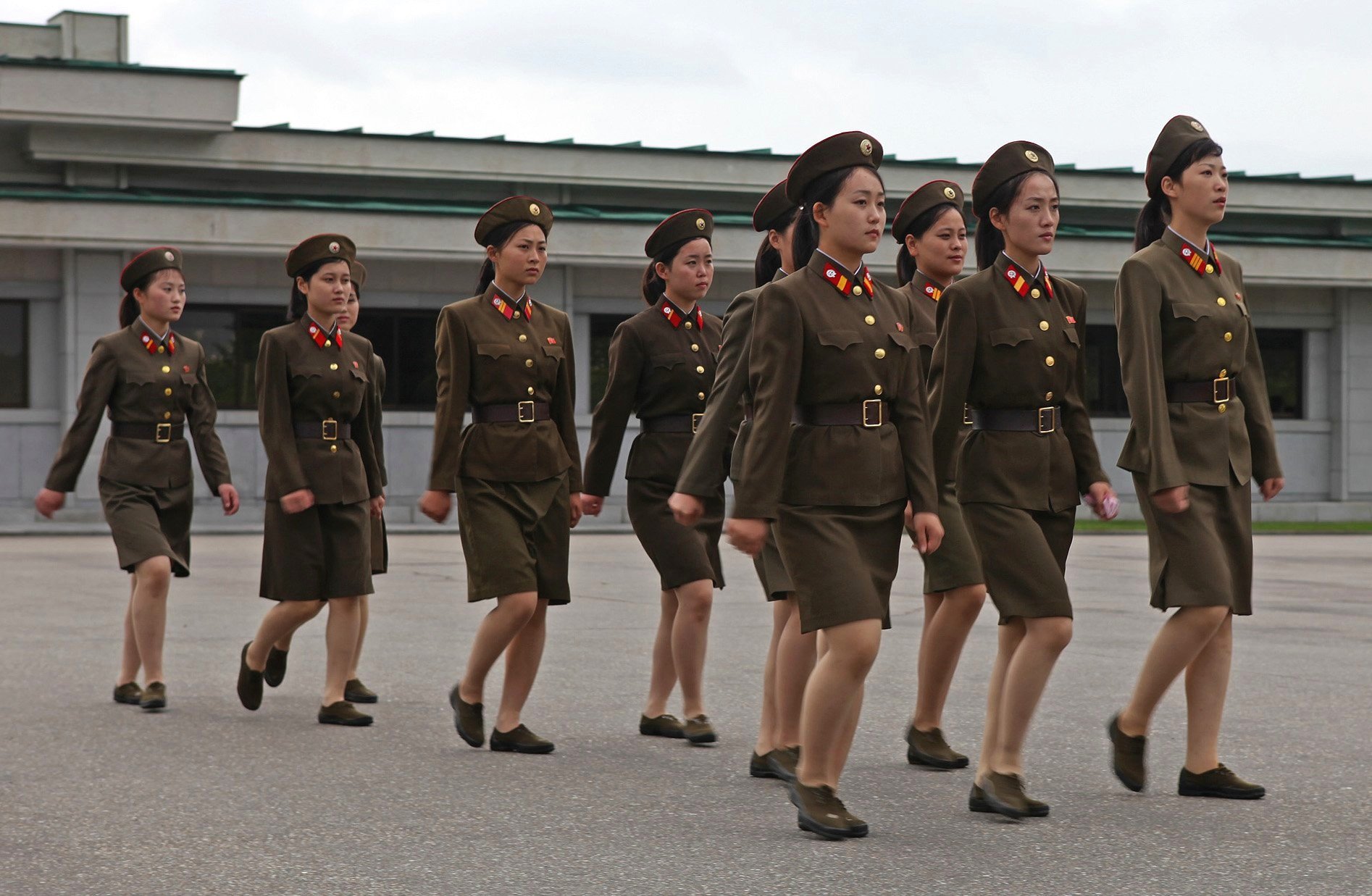 horney housewifes in pyongyang