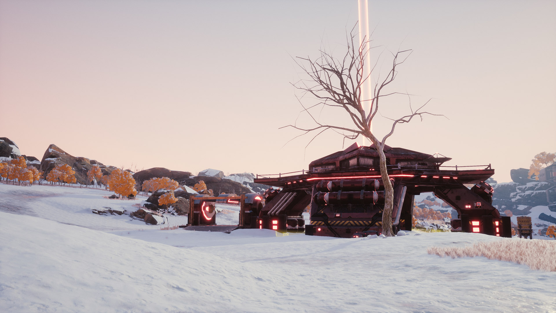 tree.jpg