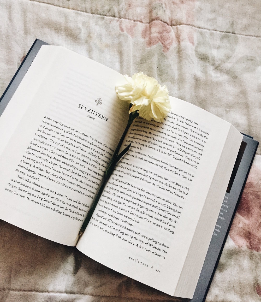 Book Thoughts: King's Cage by Victoria Aveyard — A Swirl of Spice
