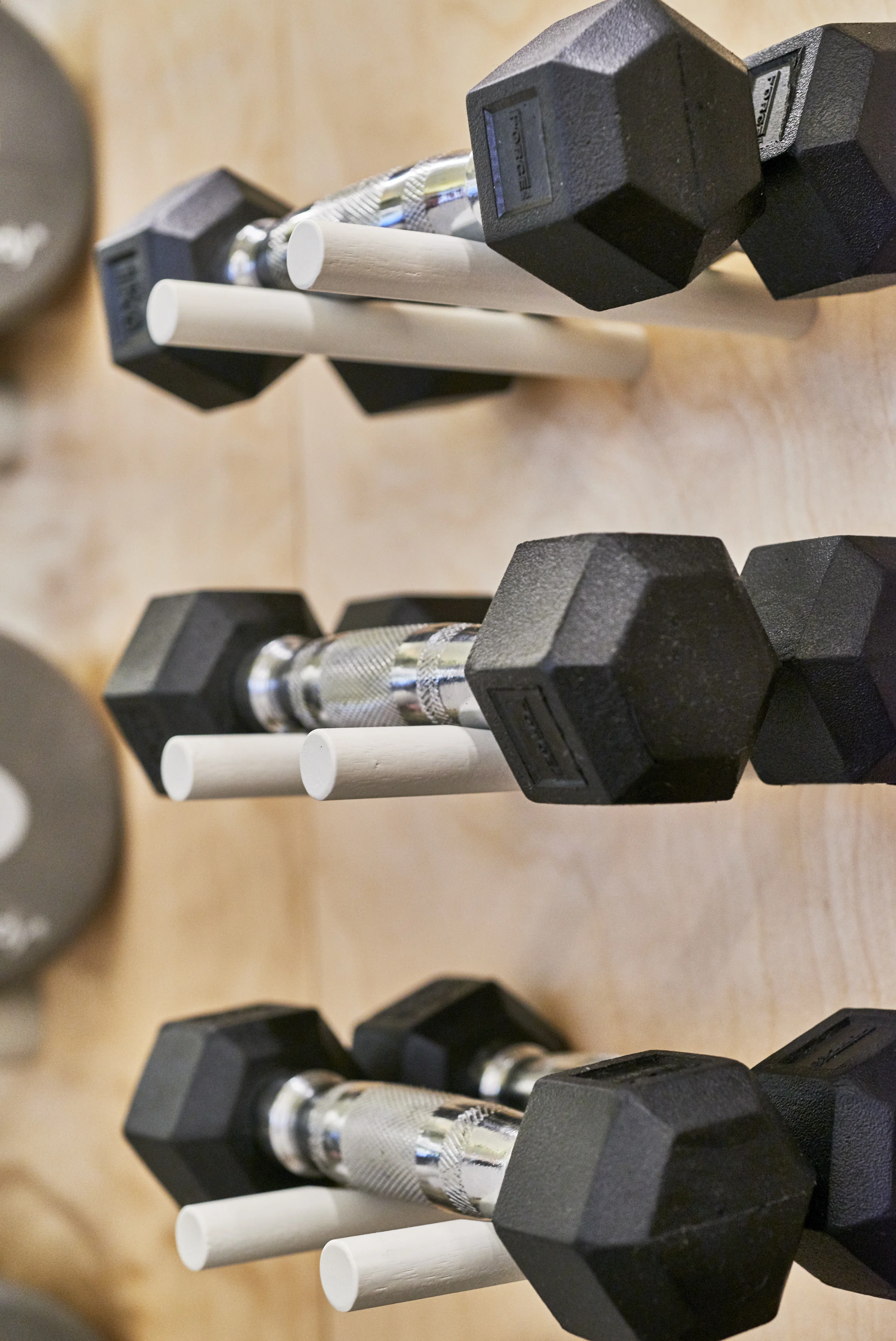 Bodycentric 105.jpg