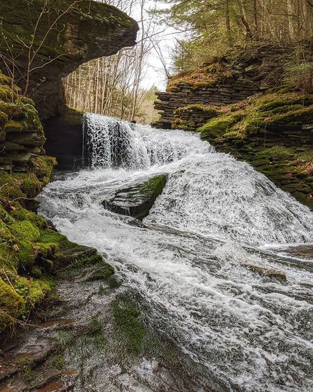 Find your flow...
.
.
#flowstate #waterfall #peaceandquiet #fostersupplyhospitality #roscoeny #callicoonny