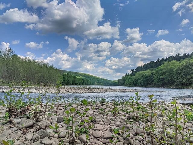 Wide open spaces 🏞️
.
.
#callicoonny #delawareriver #delawarerivervalley #fostersupplyhospitality #wideopenspaces