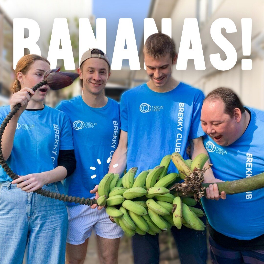 DID YOU KNOW...

Humans share more than 50% of their DNA with bananas - WHAT?

That's BANANAS!

Happy National Banana Day! 🍌

#NexusCare #Brisbanecharity #brekkyclubs #bananas #nationalbananaday #funfacts #localcharity