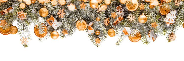 web banner7.png