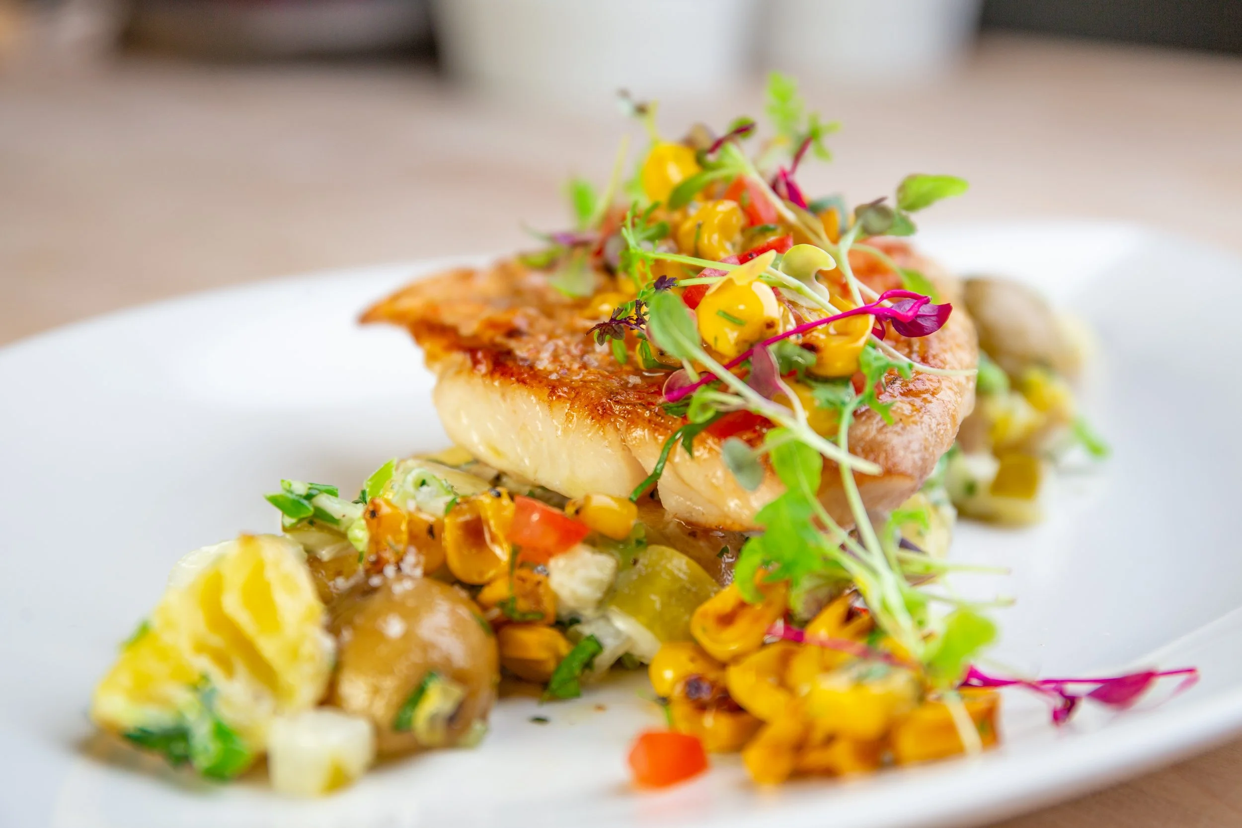 locally-caught-red-snapper-private-villa-dinner-turks-caicos.jpg