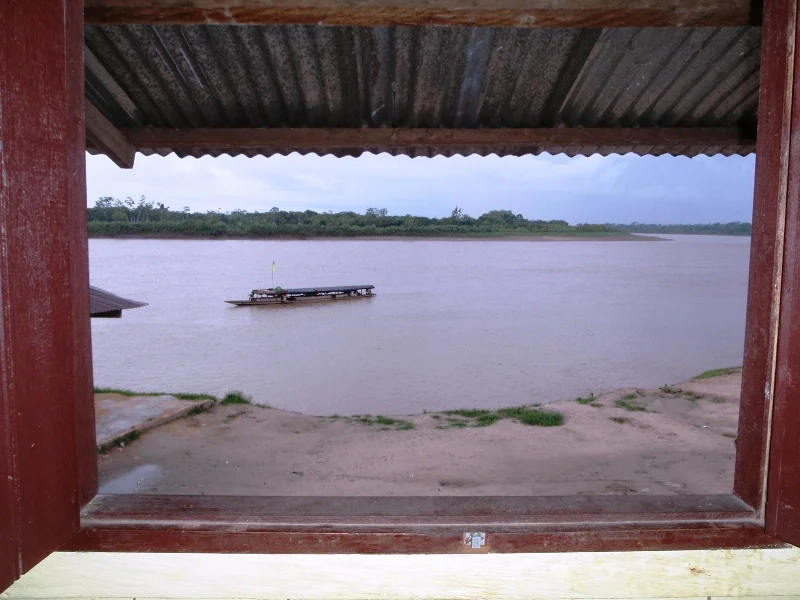 The rain on the hotel tin roof in the amazon, awaiting a cattleboat down to Iquitos. 27 July 2010 - cjG