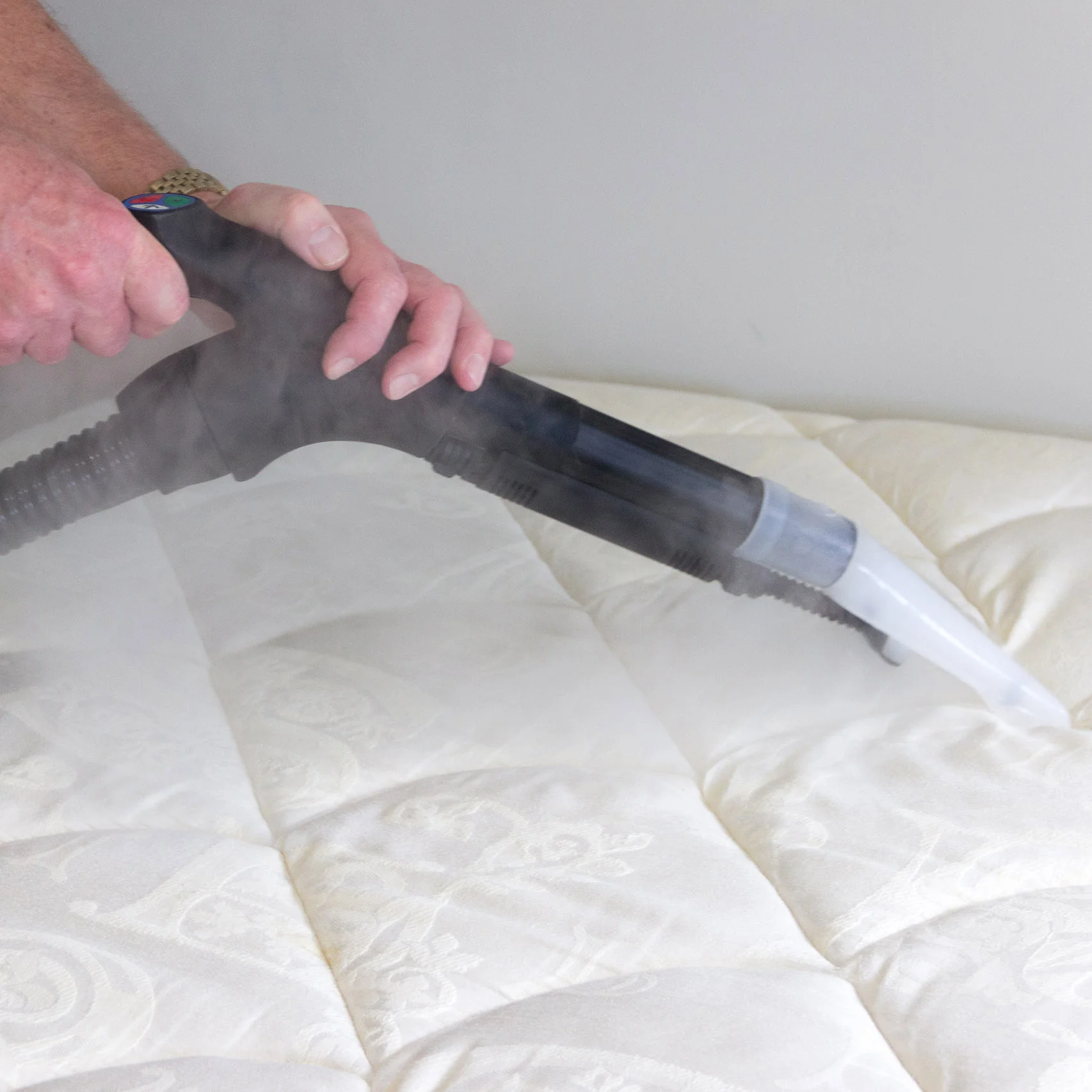 Pure Steam Cleaning - Hypoallergenic, powerful deep cleaning