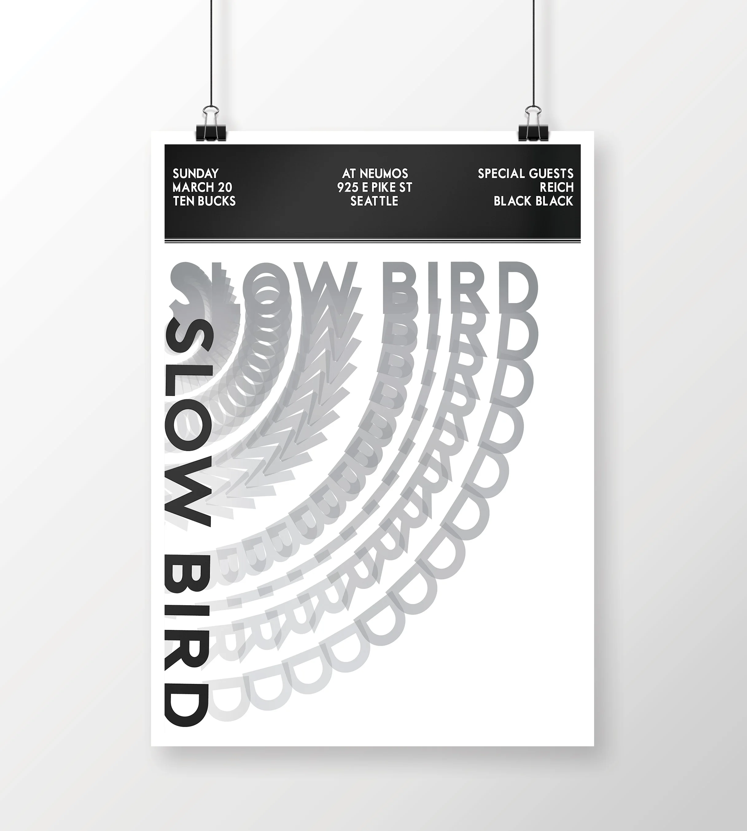 Slow_Bird_1.jpg