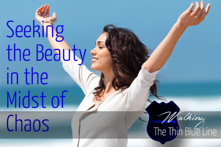 BeautyintheChaos2.jpg