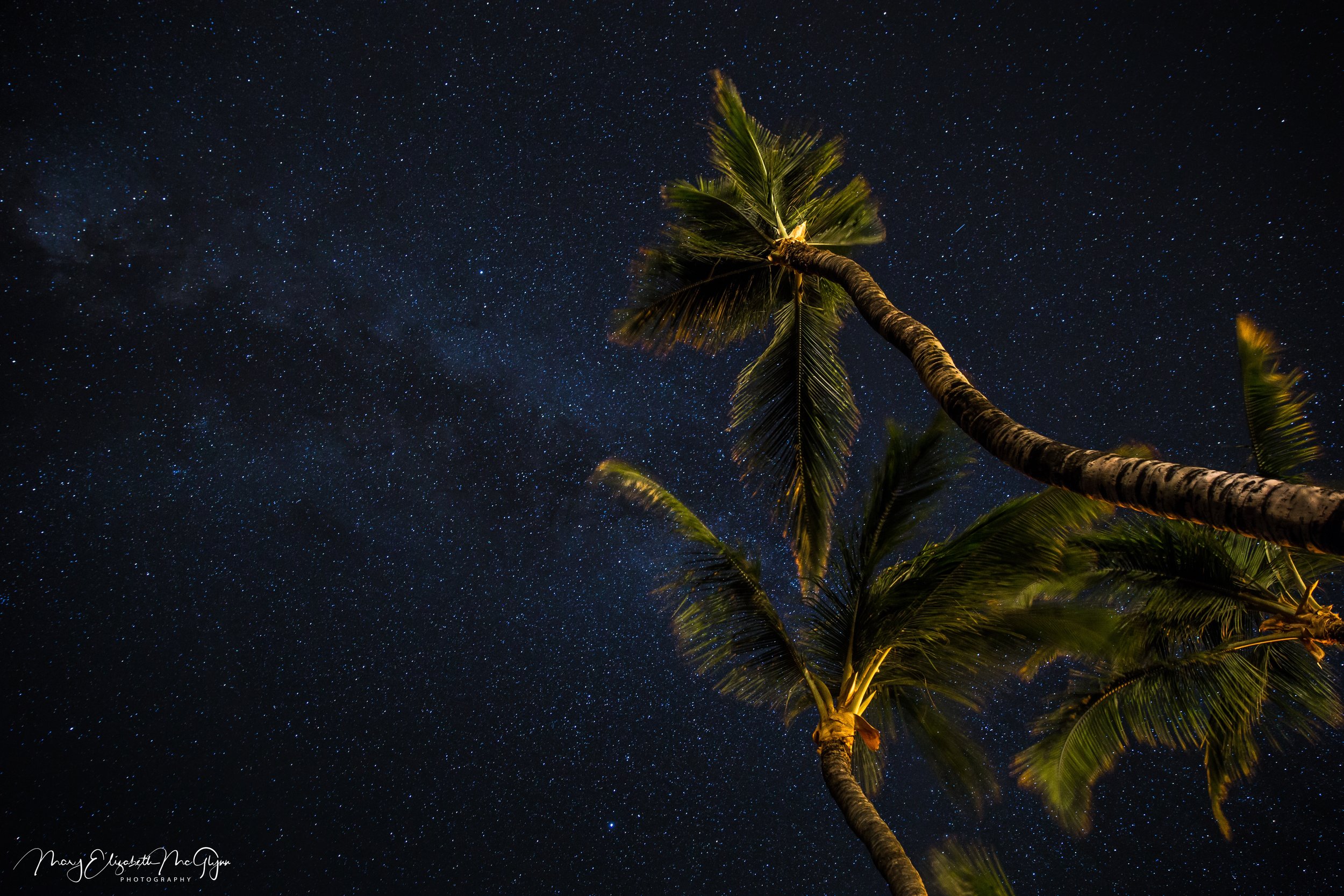Mauna Lani Palms.jpg