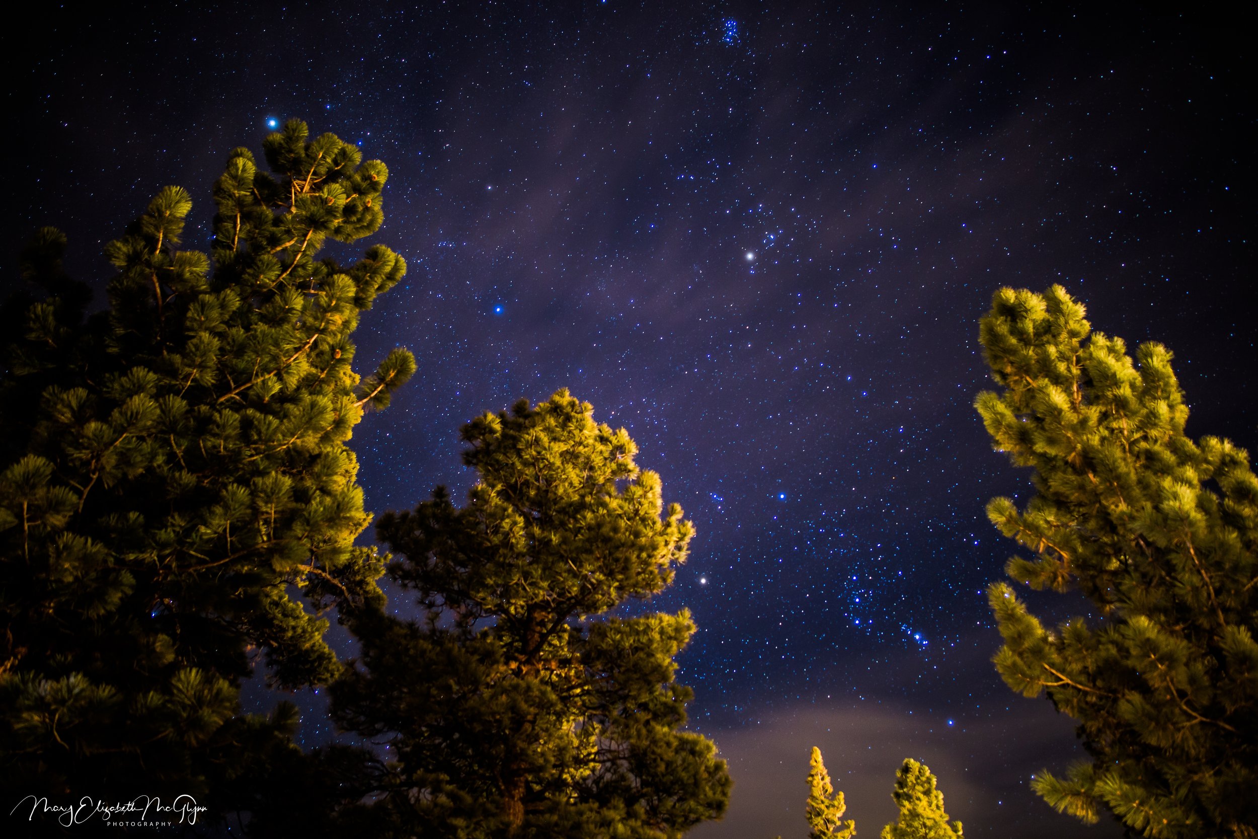 Orion in the trees.jpg
