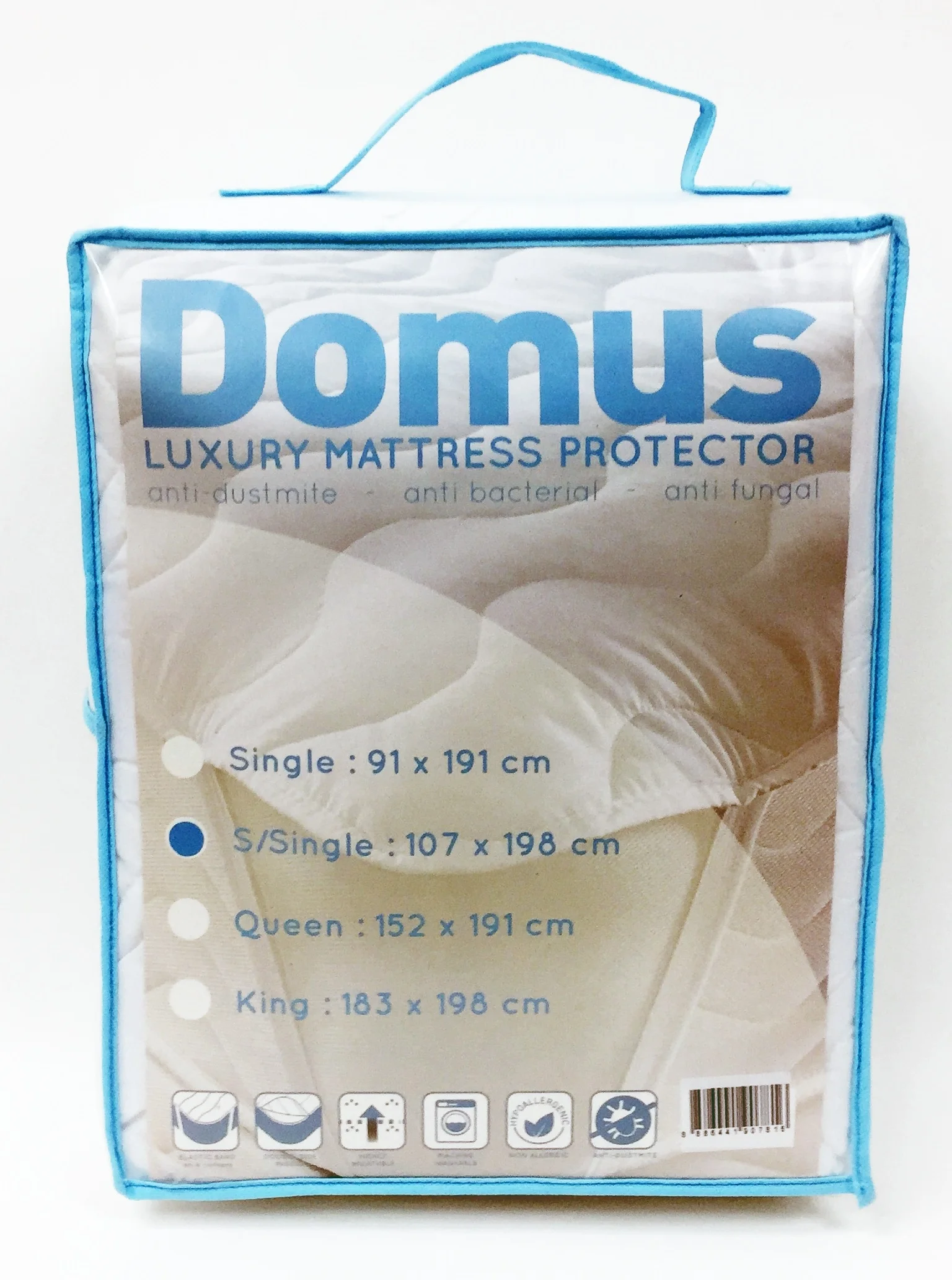 domus mp.jpg